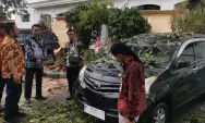 Pohon Tumbang di Kompleks Pemkab Ponorogo, Dua Mobil Jadi Korban