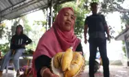 Cicipi Legitnya Durian Bido Wonosalam Jombang, Penjual: Tidak Sesuai Kami Ganti