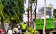 DLHKP Kota Kediri Lakukan Pemangkasan di Daerah Rawan Pohon Tumbang