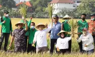 Strategi Pemkot Surabaya Dongkrak Produktivitas Pertanian Dalam Kota, Cara Disaat Harga Beras Mahal Rek…!