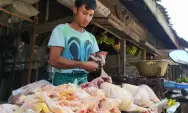 Jelang Megengan, Kerek Harga Daging Ayam di Wilayah Kabupaten Blitar