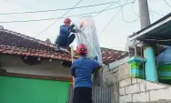 Balon Udara Nyaris Bakar Rumah di Kabupaten Trenggalek, Dievakuasi Tim Wisanggeni