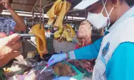 Sidak Pasar Setono Betek, DKPP Kota Kediri Temukan Daging Tak Layak Jual
